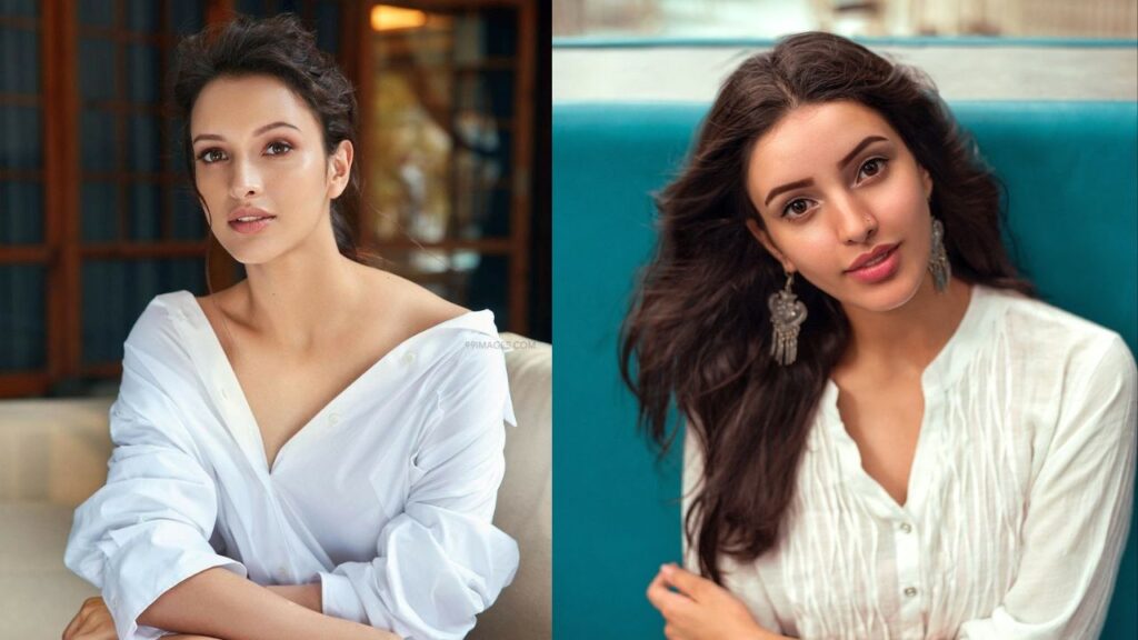 triptii dimri net worth