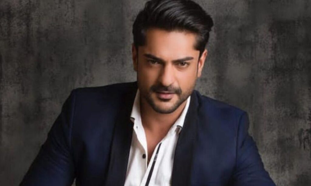 Ashish Kapoor net worth